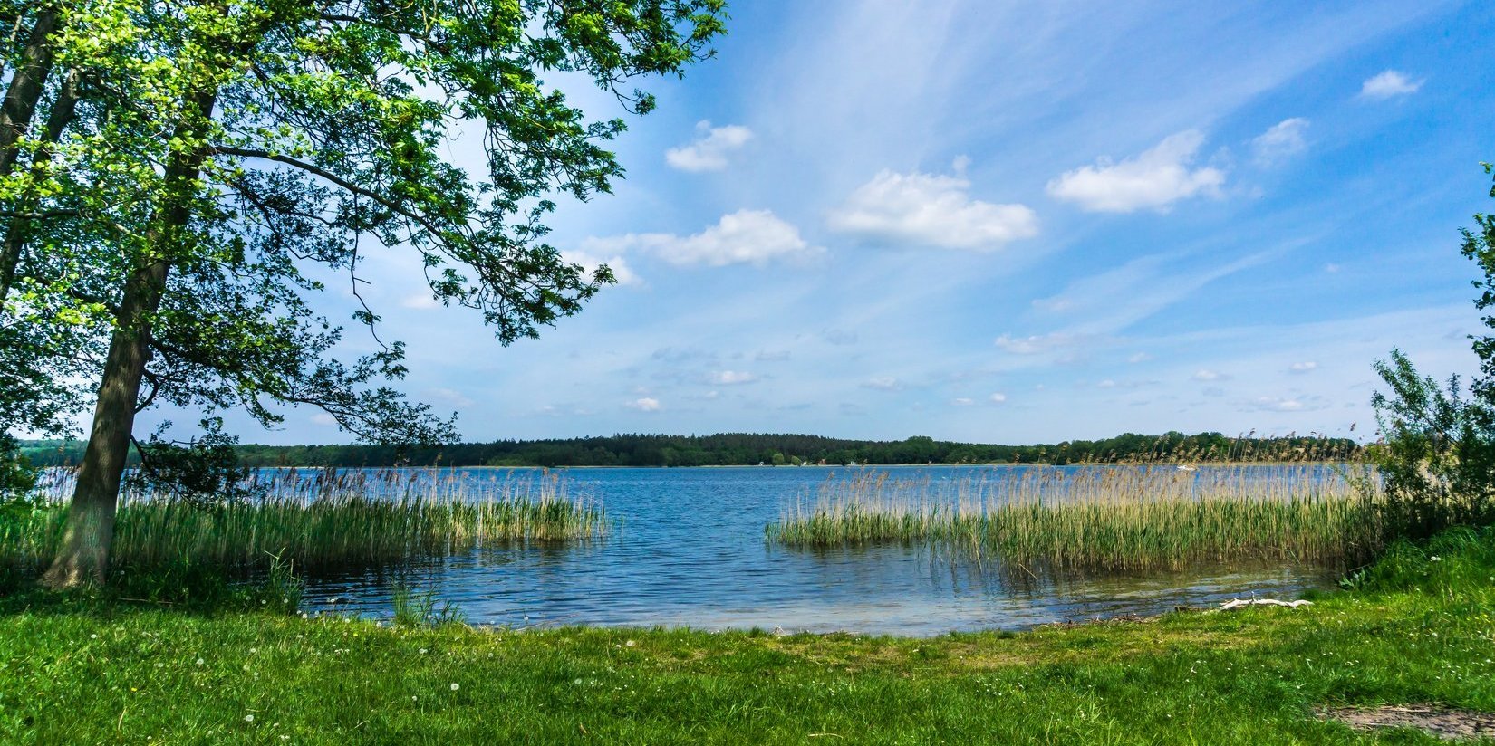 Rückmeldung, Selbsthilfe, Zufriedenheit